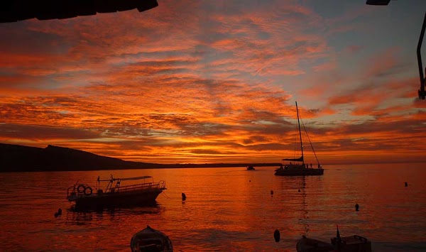 Dimitris Ammoudi Taverna 3