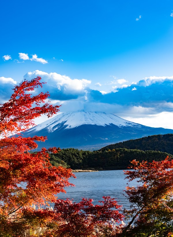 Momiji Tunnel 1