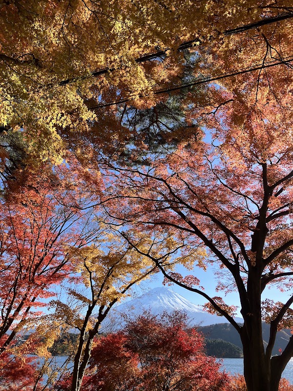 Momiji Tunnel 3