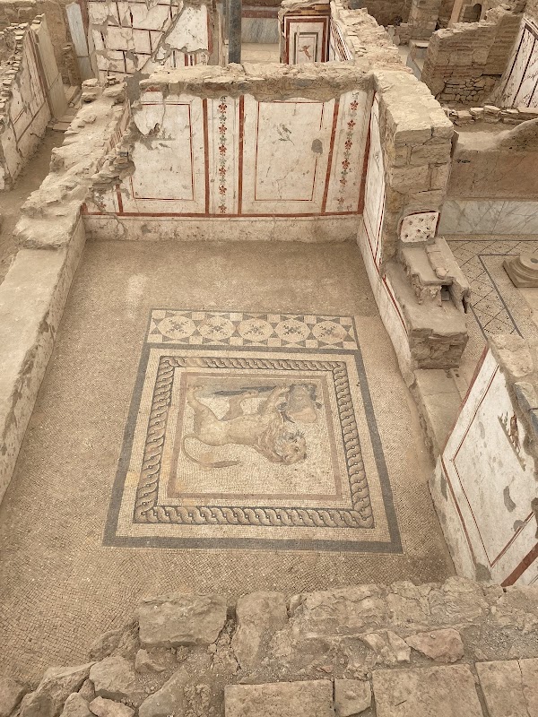 Terrace Houses of Ephesus 5