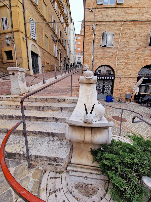 Macerata 5