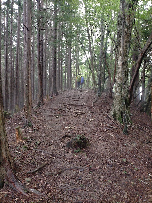 Kumano Kodo Kohechi Pilgrimage Route 3