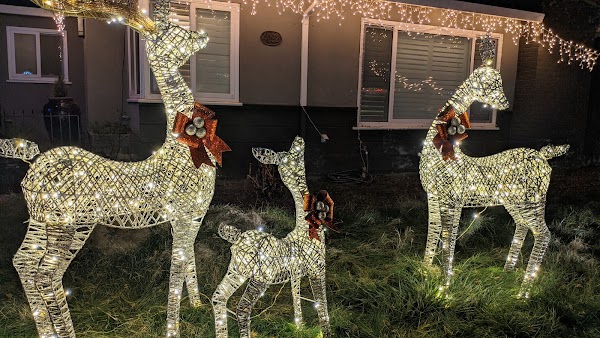 Candy Cane Lane 1