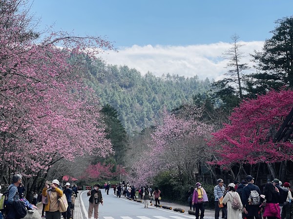 Shei-Pa National Park 5