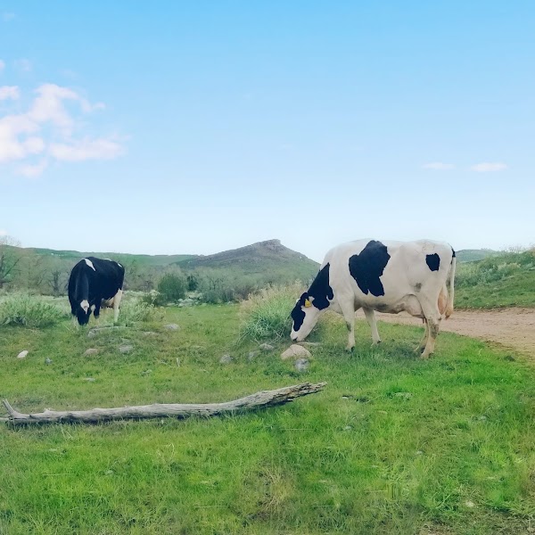 Colorado 53