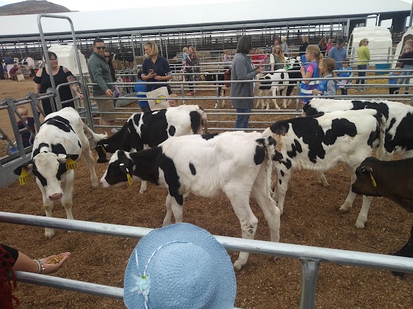 Morning Fresh Dairy Farm 4