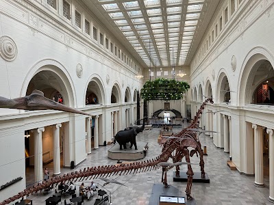 Field Museum 1