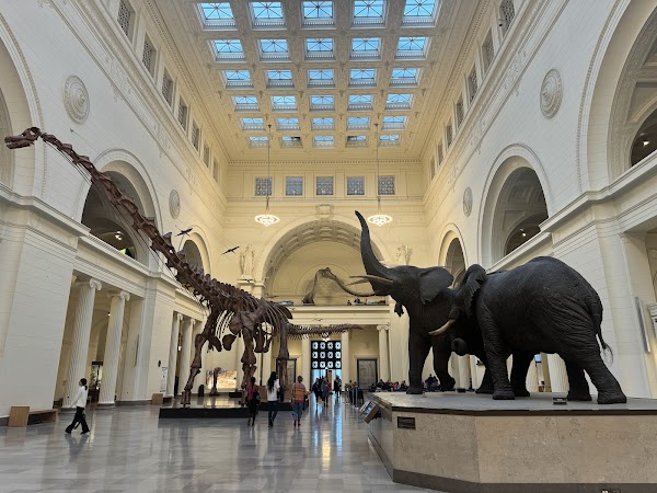 Field Museum 5