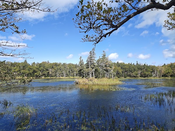 Shiretoko National Park 2