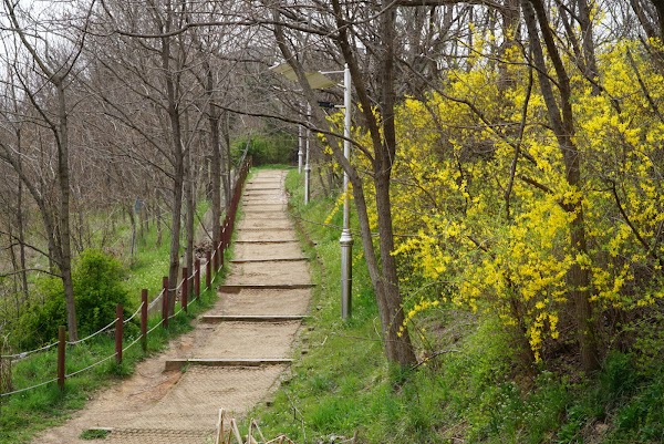 Yedanpo Trail 3