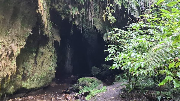 Limestone Creek Reserve Glow Worm Caves 1