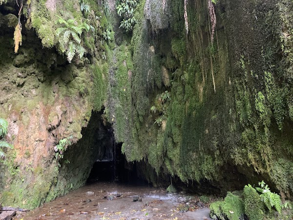 Limestone Creek Reserve Glow Worm Caves 5