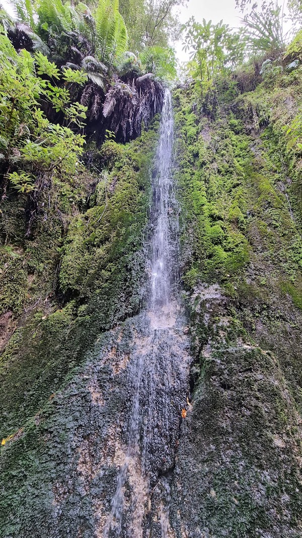 Limestone Creek Reserve Glow Worm Caves 4