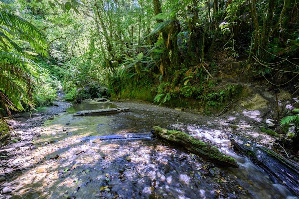 Limestone Creek Reserve Glow Worm Caves 3