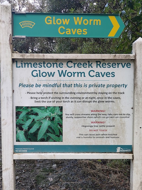 Limestone Creek Reserve Glow Worm Caves 2