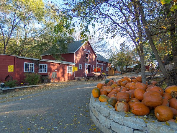 Vala's Pumpkin Patch & Apple Orchard 1