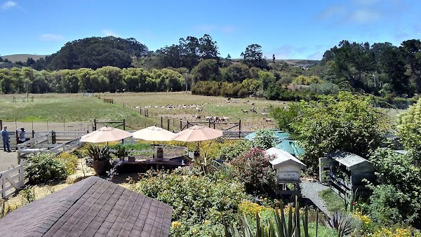 Harley Farms Goat Dairy 2