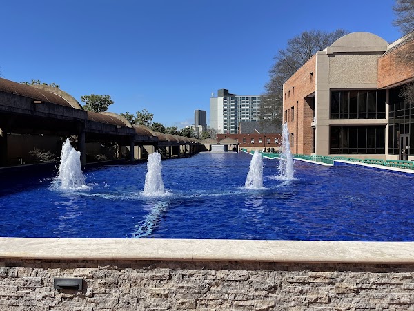 The King Center 3