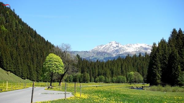 Rosenlaui Valley 3