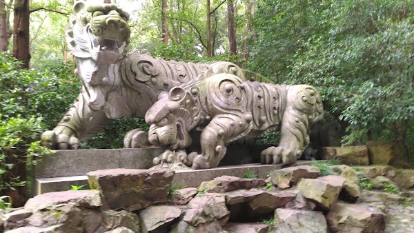 🇨🇳China 35