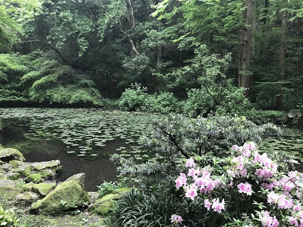 Hupao Park （East Gate） 2