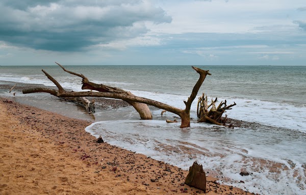 Covehithe Beach 1