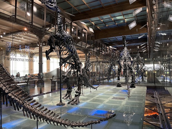 Royal Belgian institute of Natural Sciences 5