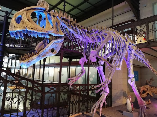 Royal Belgian institute of Natural Sciences 4