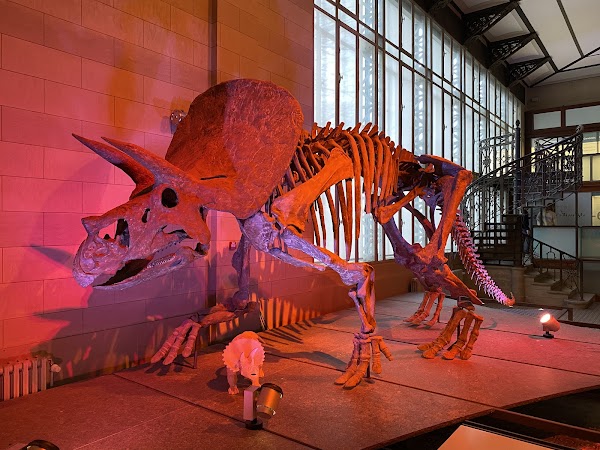 Royal Belgian institute of Natural Sciences 2