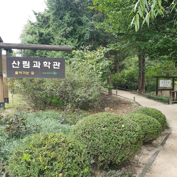 Hongneung Forest (Arboretum) 1