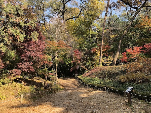 Hongneung Forest (Arboretum) 2