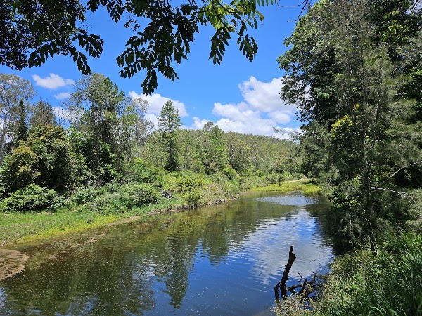 Booloumba Creek 5