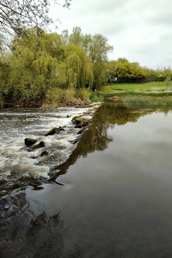 River Avon 4