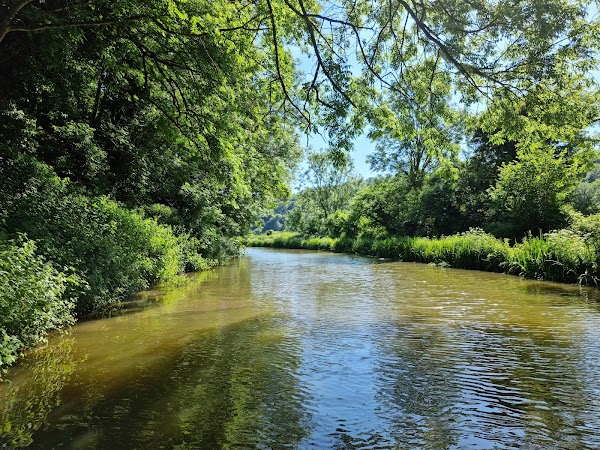 River Avon 2