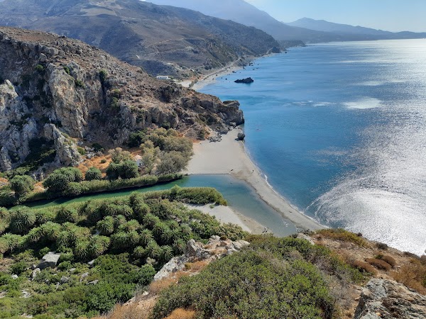 Preveli Palm Forest 5