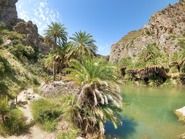 Preveli Palm Forest 4