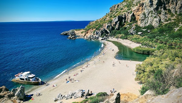 Preveli Palm Forest 3