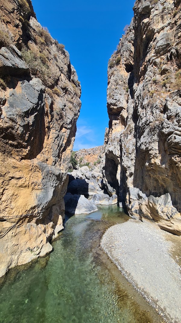 Preveli Palm Forest 2
