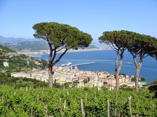 Le Vigne di Raito