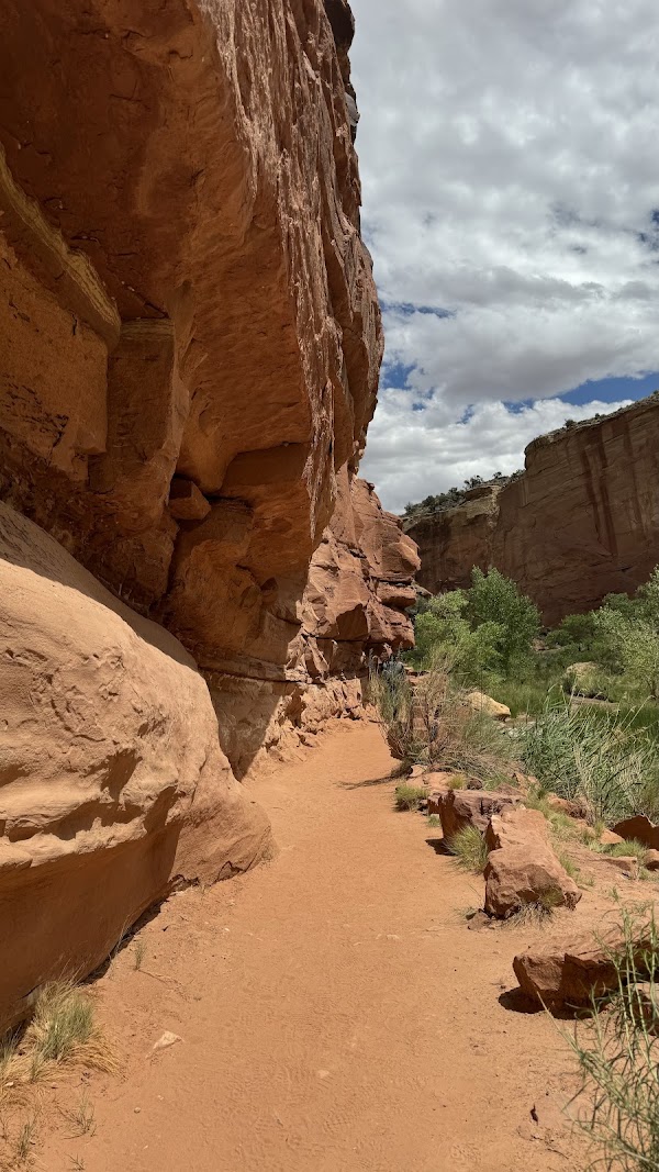 Hickman Bridge Trail 5