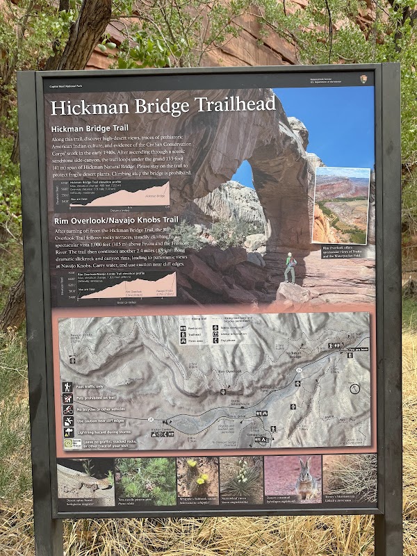 Hickman Bridge Trail 3
