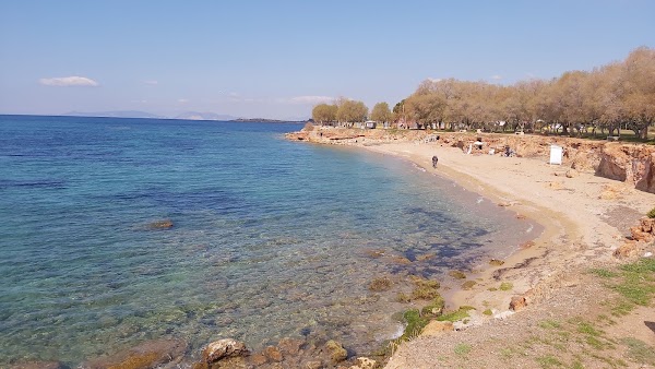 Voula 5