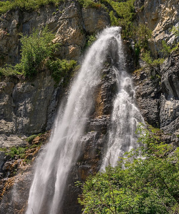 Stewart Falls Trail 1