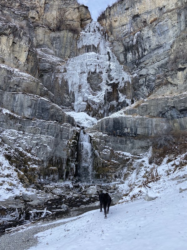 Stewart Falls Trail 3