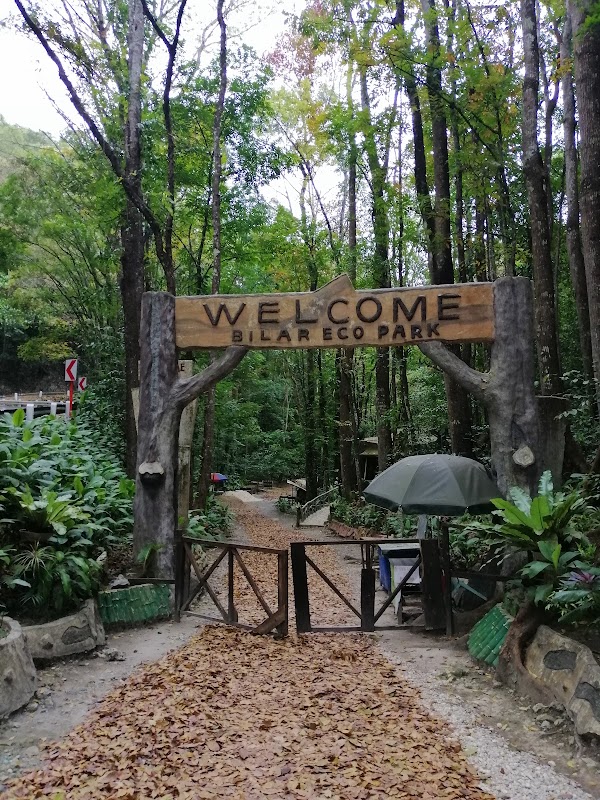 Bilar Man-Made Forest 5