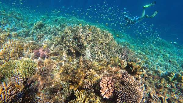 Yenbuba Jetty 1