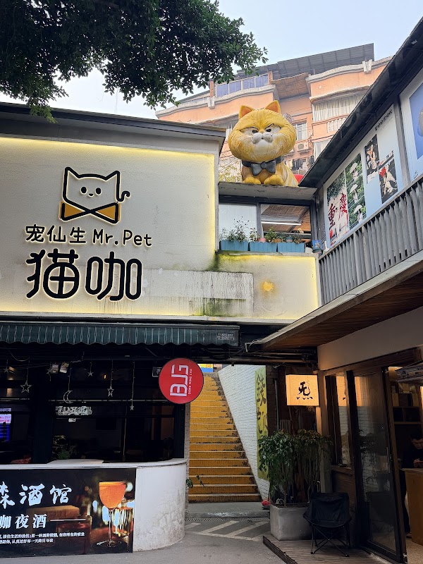 Chongqing 15