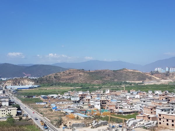 Dali 4