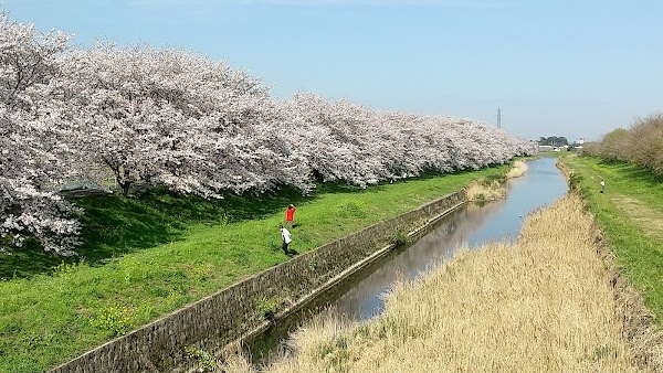 Ukiha 5
