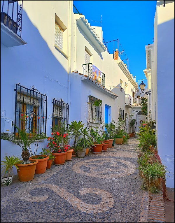 🇪🇸Spain 24